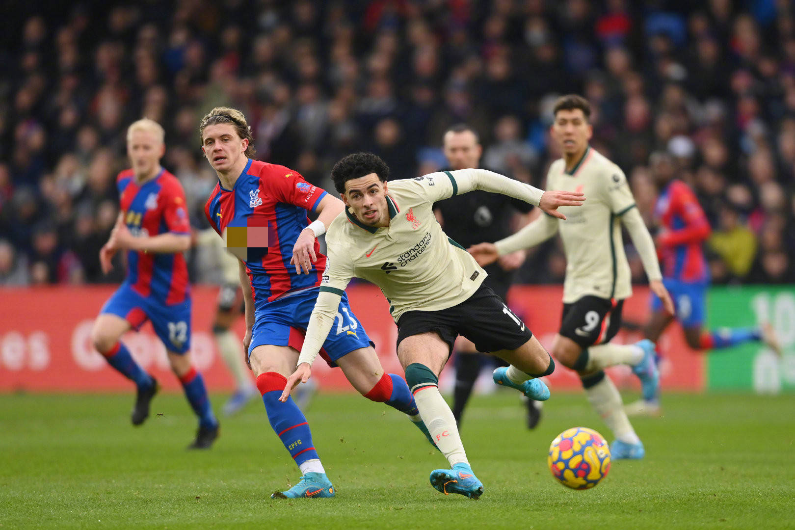 弗兰卡的加 弗兰卡的加